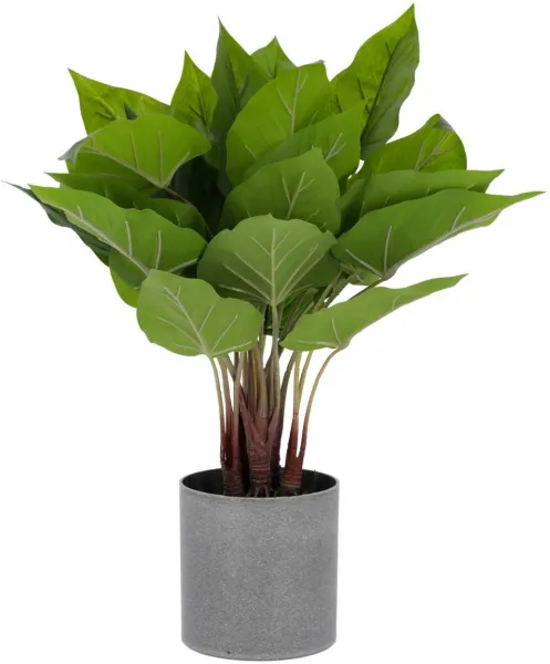 Anthurium, Konstgjord växt, grön/grå, H50x40x40 cm